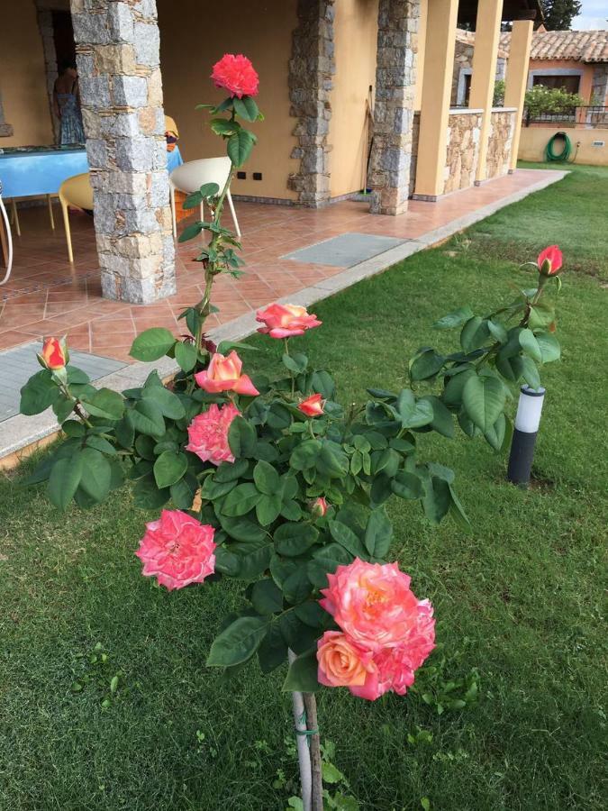 Cala Sinzias Villa คอสตาเรย์ ภายนอก รูปภาพ